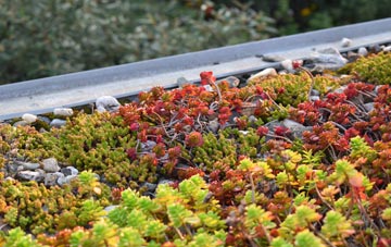 the cost of Bridgerule green roof installation